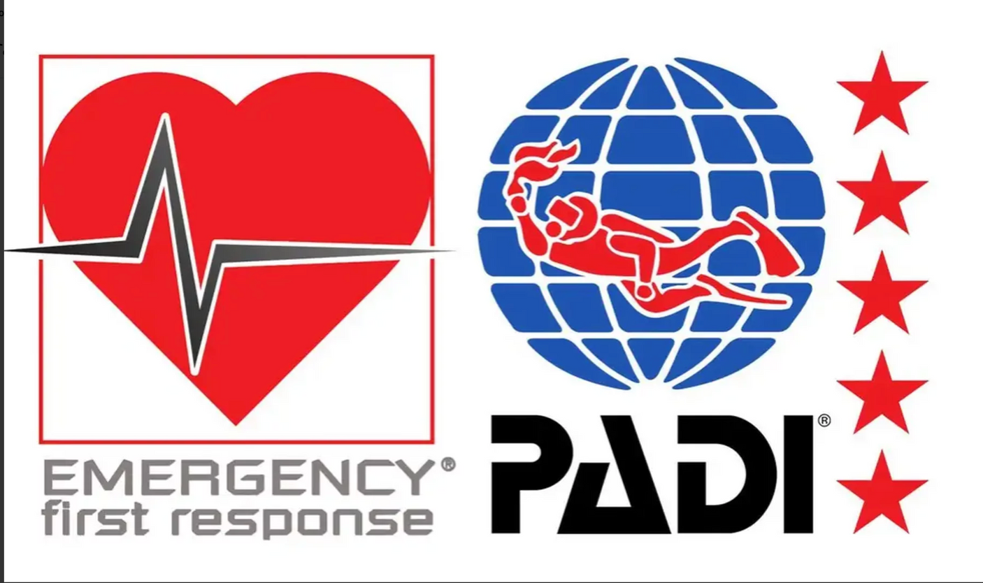 EHBO cursus EFR all in prijs